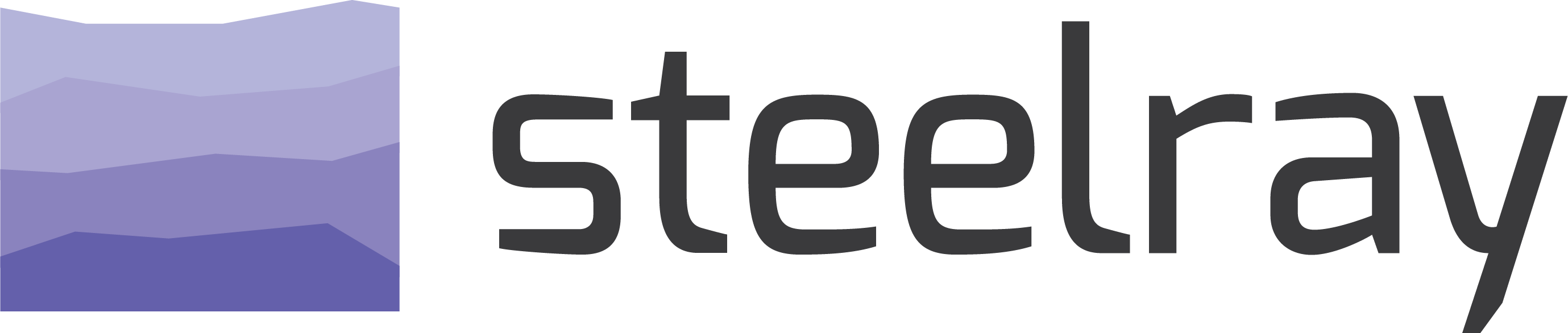 Steelray Logo For Light BG Large (002)